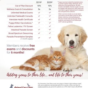Preventive Care Plans for Puppies & Kittens