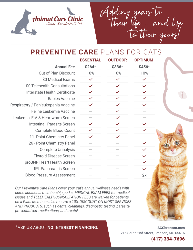 Preventive Care Plans for Cats
