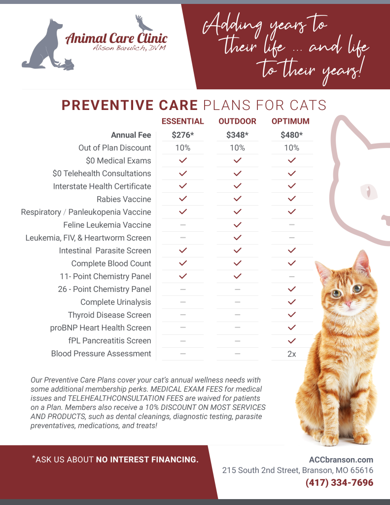 preventive care plans for cats