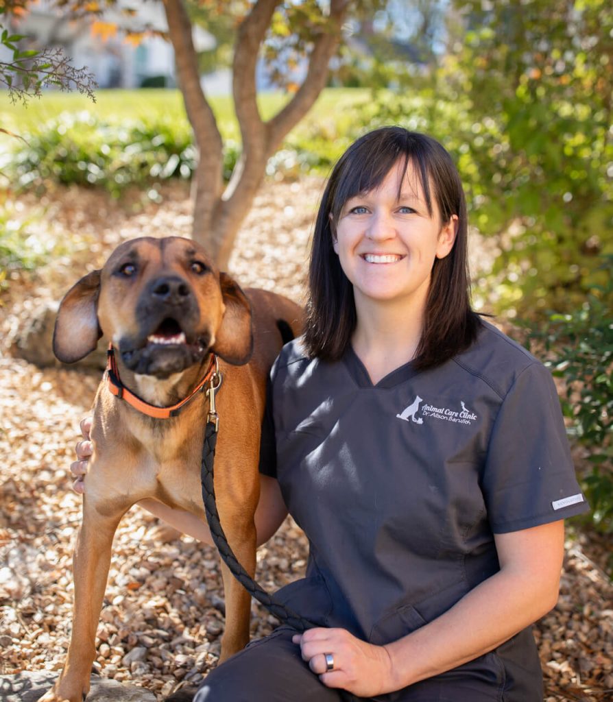 dog care